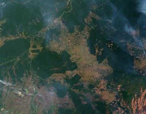 Deforestation of the Amazon, as seen from a satellite