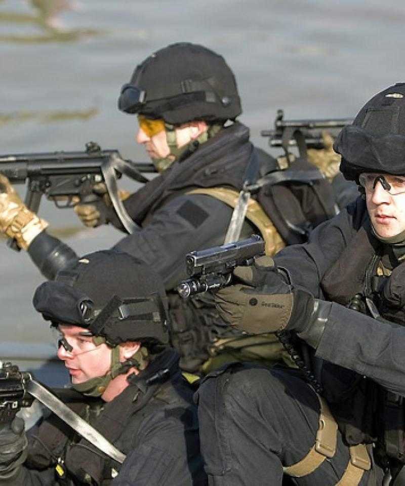UK firearms police training in 2012